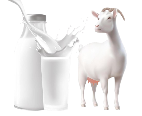 Goat Milk